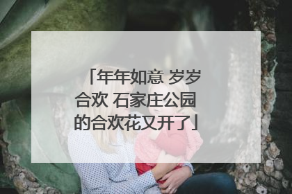 年年如意 岁岁合欢 石家庄公园的合欢花又开了