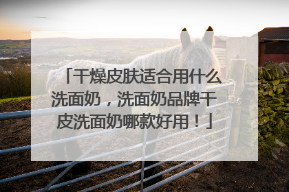 干燥皮肤适合用什么洗面奶，洗面奶品牌干皮洗面奶哪款好用！