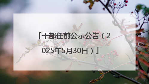 干部任前公示公告（2025年5月30日）
