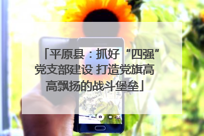平原县：抓好“四强”党支部建设 打造党旗高高飘扬的战斗堡垒