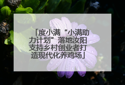 度小满“小满助力计划”落地汝阳支持乡村创业者打造现代化养鸡场