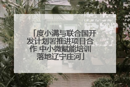 度小满与联合国开发计划署推进项目合作 中小微赋能培训落地辽宁庄河