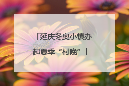 延庆冬奥小镇办起夏季“村晚”
