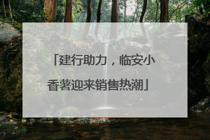 建行助力，临安小香薯迎来销售热潮