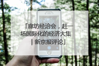 廊坊经洽会，赶一场国际化的经济大集｜新京报评论