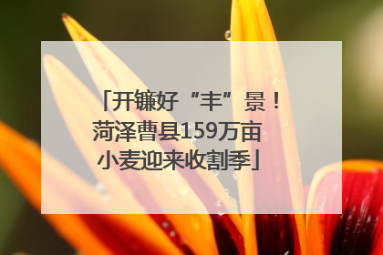 开镰好“丰”景！菏泽曹县159万亩小麦迎来收割季