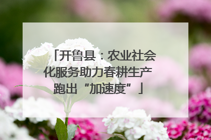 开鲁县：农业社会化服务助力春耕生产跑出“加速度”