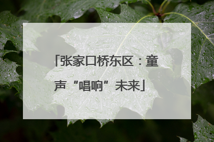 张家口桥东区：童声“唱响”未来