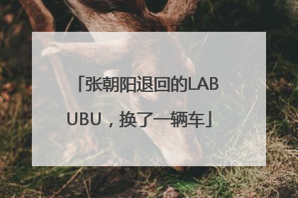 张朝阳退回的LABUBU，换了一辆车