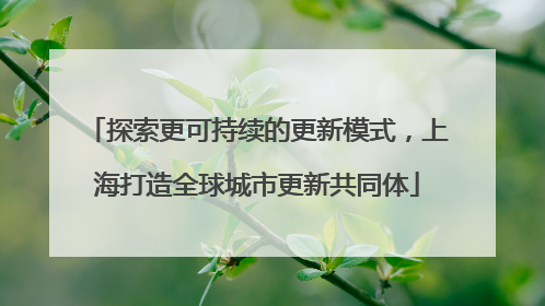 探索更可持续的更新模式，上海打造全球城市更新共同体