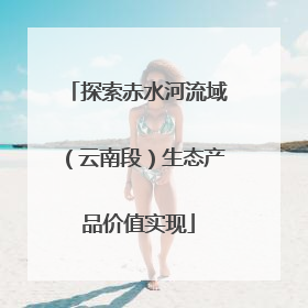 探索赤水河流域（云南段）生态产品价值实现