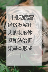 推动民营经济发展壮大的制度体系和法治框架基本形成