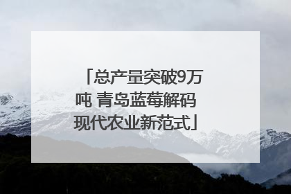 总产量突破9万吨 青岛蓝莓解码现代农业新范式