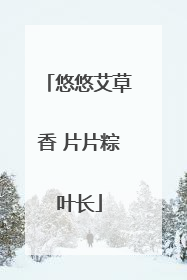 悠悠艾草香 片片粽叶长