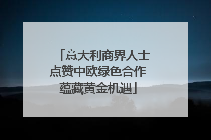 意大利商界人士点赞中欧绿色合作蕴藏黄金机遇