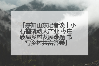感知山东记者谈丨小石榴撬动大产业 枣庄破局乡村发展难题 书写乡村共富答卷