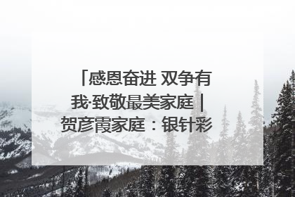 感恩奋进 双争有我·致敬最美家庭｜贺彦霞家庭：银针彩线绣出好日子