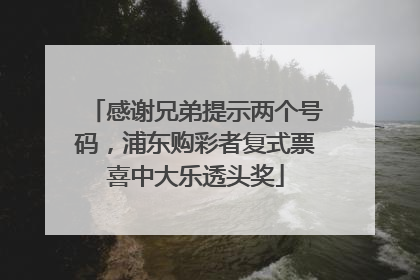 感谢兄弟提示两个号码，浦东购彩者复式票喜中大乐透头奖