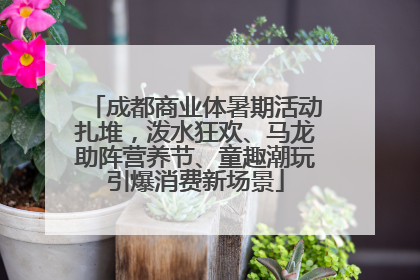 成都商业体暑期活动扎堆，泼水狂欢、马龙助阵营养节、童趣潮玩引爆消费新场景