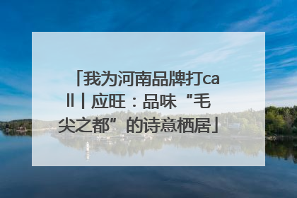 我为河南品牌打call丨应旺：品味“毛尖之都”的诗意栖居