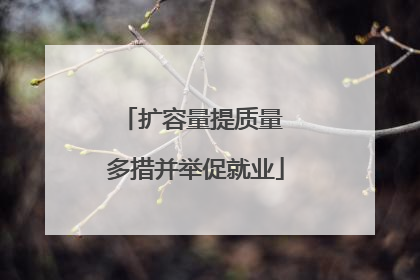 扩容量提质量 多措并举促就业