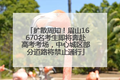 扩散周知！眉山16670名考生即将奔赴高考考场，中心城区部分道路将禁止通行