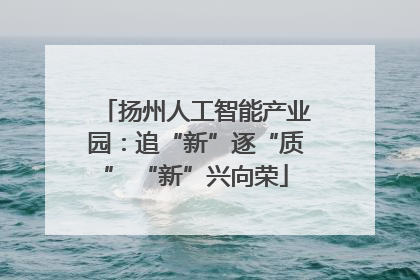 扬州人工智能产业园：追“新”逐“质” “新”兴向荣
