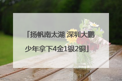 扬帆南太湖 深圳大鹏少年拿下4金1银2铜