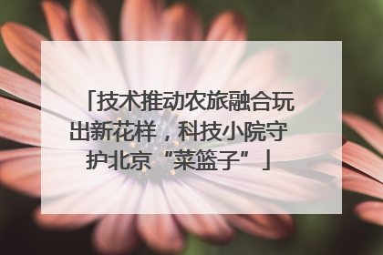技术推动农旅融合玩出新花样，科技小院守护北京“菜篮子”
