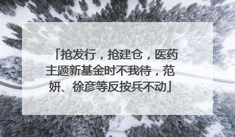 抢发行，抢建仓，医药主题新基金时不我待，范妍、徐彦等反按兵不动