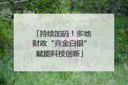 持续加码！多地财政“真金白银”赋能科技创新
