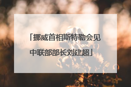 挪威首相斯特勒会见中联部部长刘建超