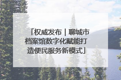 权威发布｜聊城市档案馆数字化赋能打造便民服务新模式