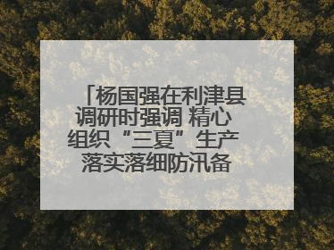 杨国强在利津县调研时强调 精心组织“三夏”生产 落实落细防汛备汛工作