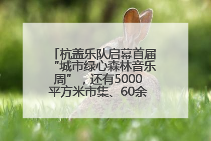 杭盖乐队启幕首届“城市绿心森林音乐周”，还有5000平方米市集、60余场免费活动等你来