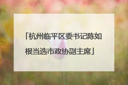 杭州临平区委书记陈如根当选市政协副主席