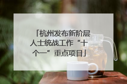杭州发布新阶层人士统战工作“十个一”重点项目