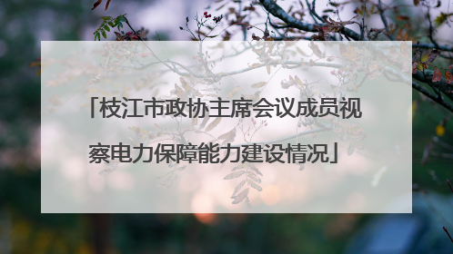 枝江市政协主席会议成员视察电力保障能力建设情况