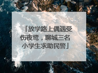 放学路上偶遇受伤夜鹭，聊城三名小学生求助民警