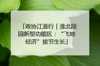 政协江淮行｜淮北段园新型功能区：“飞地经济”拔节生长