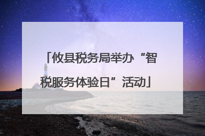 攸县税务局举办“智税服务体验日”活动