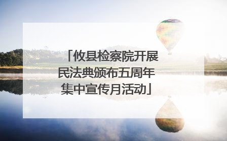 攸县检察院开展民法典颁布五周年集中宣传月活动