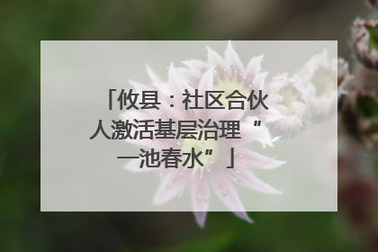 攸县：社区合伙人激活基层治理“一池春水”