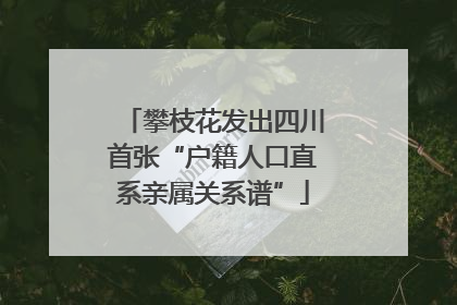 攀枝花发出四川首张“户籍人口直系亲属关系谱”