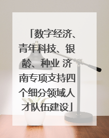 数字经济、青年科技、银龄、种业 济南专项支持四个细分领域人才队伍建设