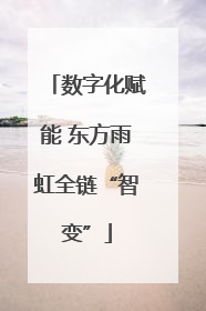 数字化赋能 东方雨虹全链“智变”