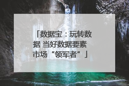 数据宝：玩转数据 当好数据要素市场“领军者”