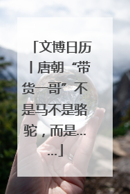 文博日历丨唐朝“带货一哥”不是马不是骆驼，而是……