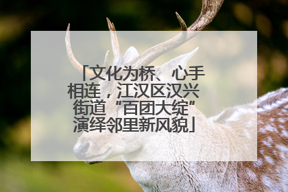 文化为桥、心手相连，江汉区汉兴街道“百团大绽”演绎邻里新风貌