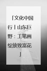 文化中国行丨山东巨野：工笔画绽放致富花